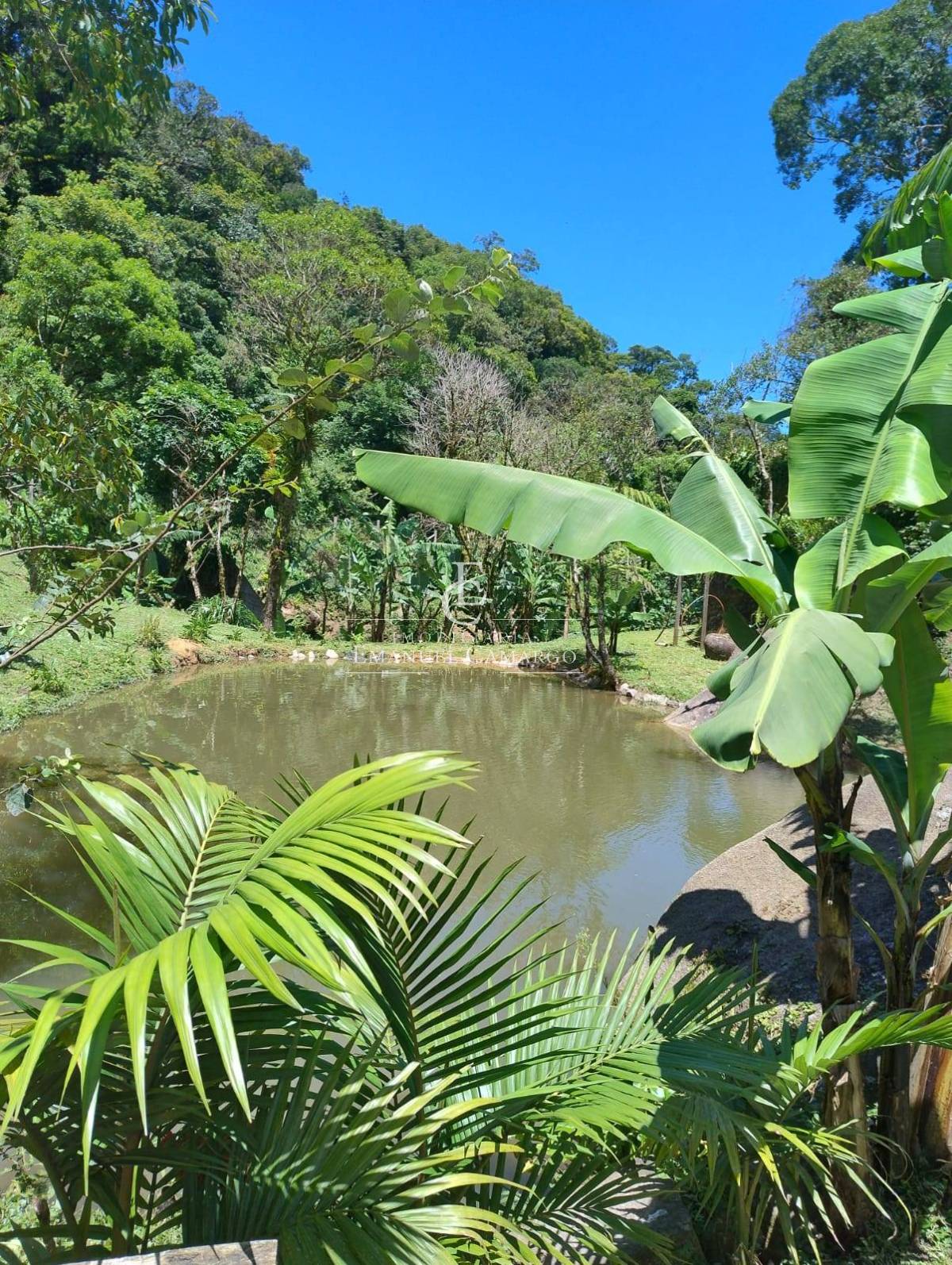 Chácara com 3 quartos, 30000m², à venda em Campina Grande do Sul